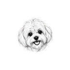 bichon_stare_v2_mockup_design_white.png