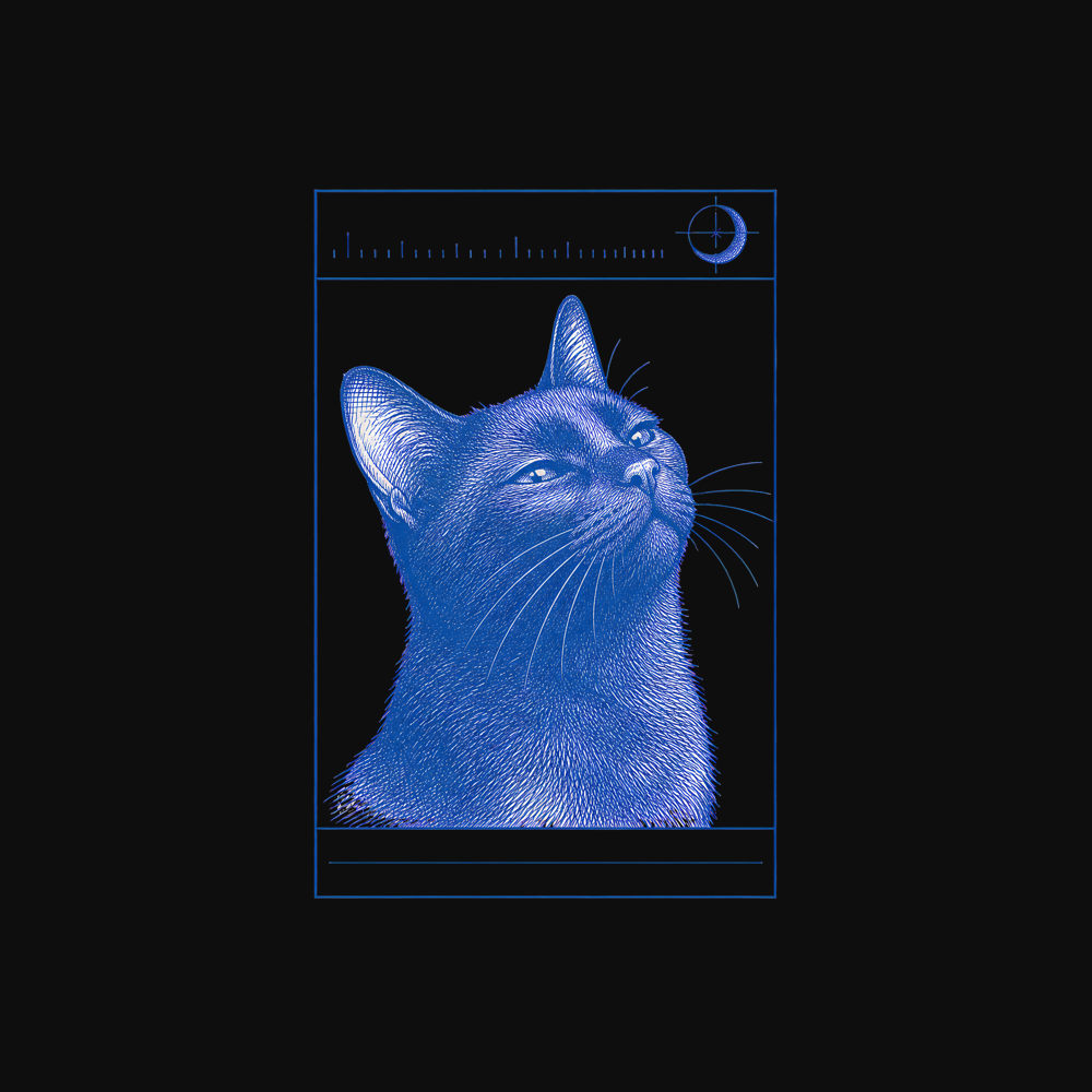 black_cat_moonlit_adoration_mockup_design_black.png