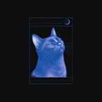 black_cat_moonlit_adoration_mockup_design_black.png
