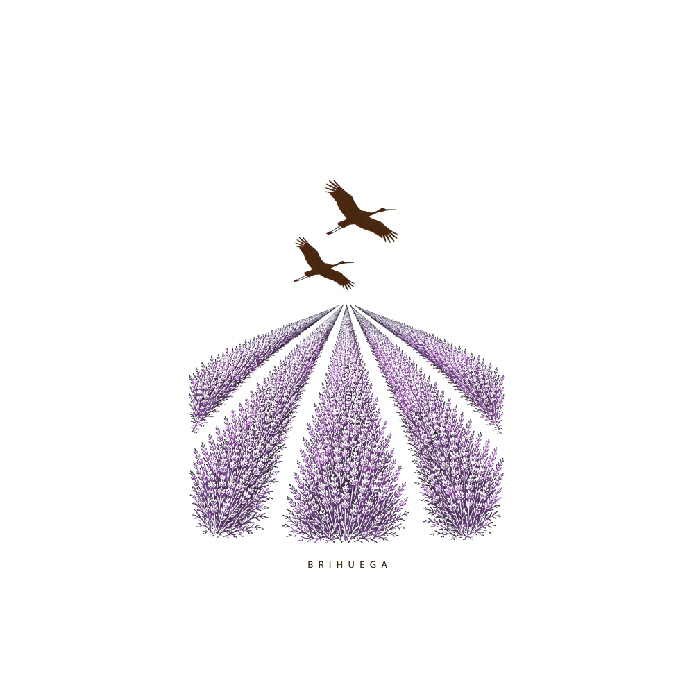 storks_of_brihuega_v3_mockup_design_white.png