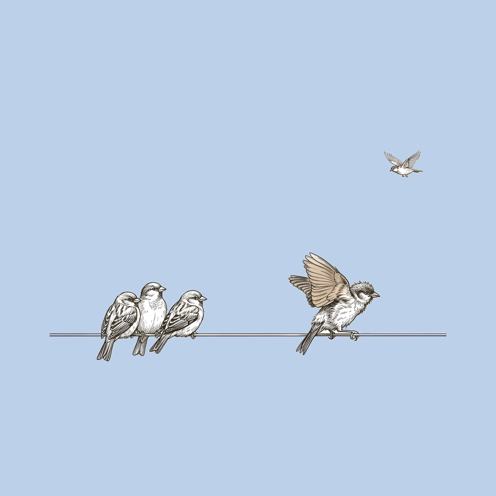 tiny_bird_mockup_design_light_blue.png