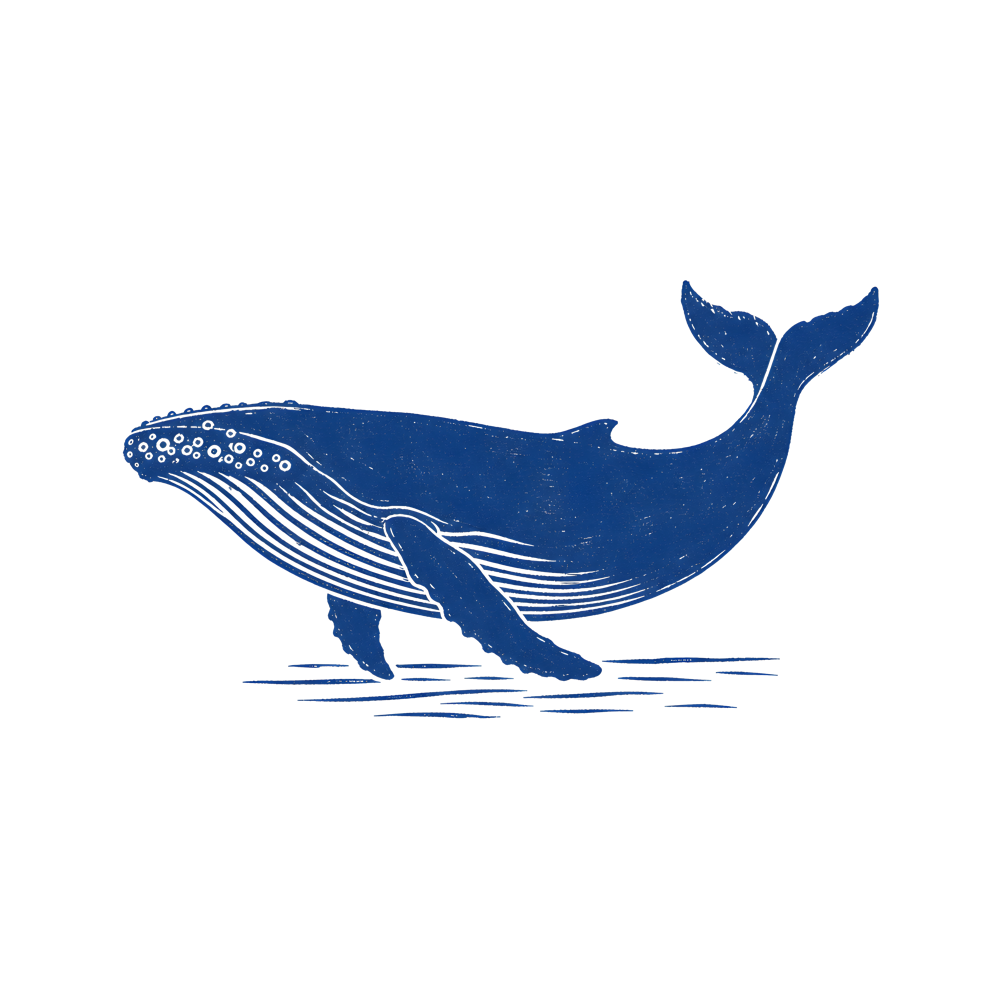 whale_linocut_cream_mockup_design_white.png